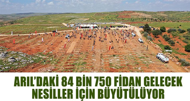 1 milyon 49 bin metrekarelik orman alanı oluşturuldu