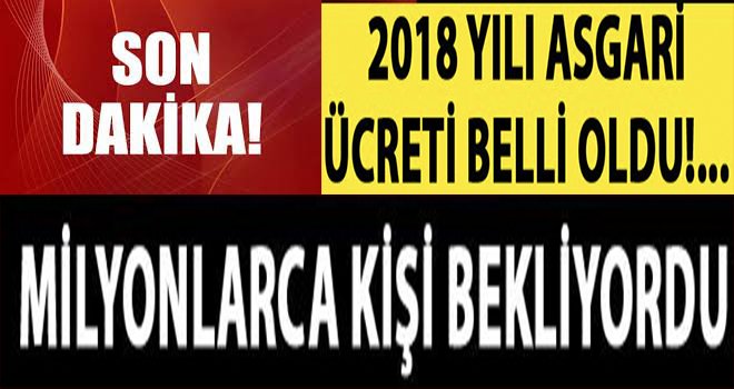 2018 asgari ücret zammı belli oldu! Net bin 603 lira...