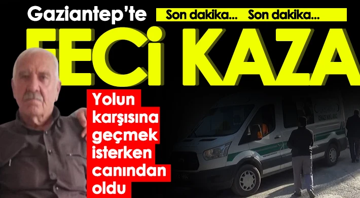 Yolun karşısına geçmek isterken canından oldu