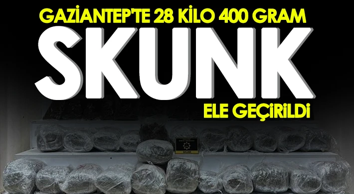 Gaziantep'te 28 kilo 400 gram skunk ele geçirildi