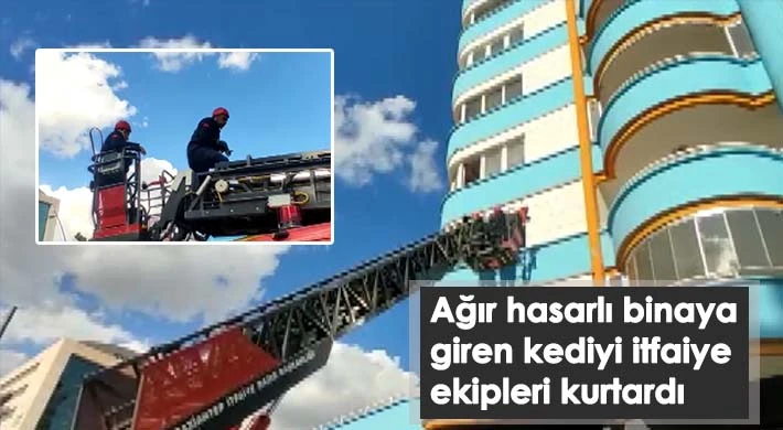 Ağır hasarlı binaya giren kediyi itfaiye ekipleri kurtardı