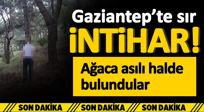 Gaziantep'te intihar! Ağaca asılı halde bulundular