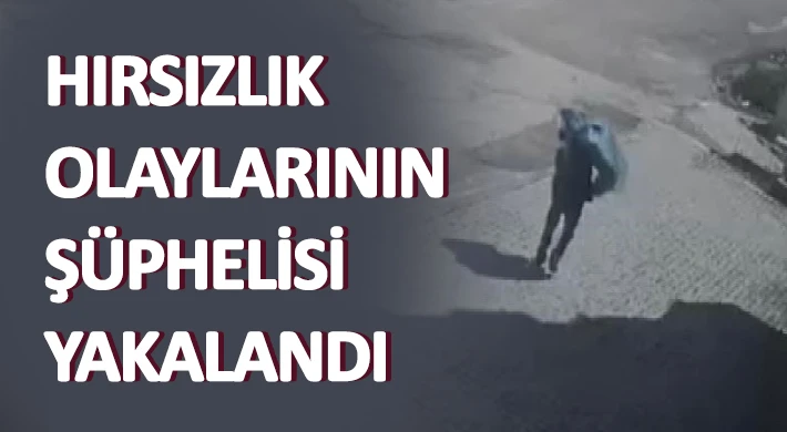 Hırsızlık olaylarının şüphelisi yakalandı