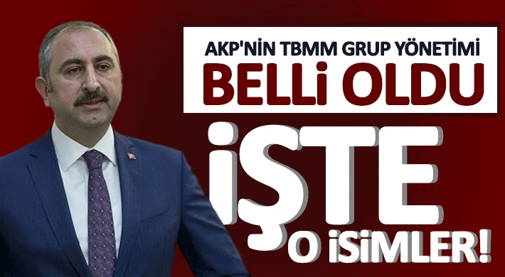 Abdülhamit Gül Başkanvekili