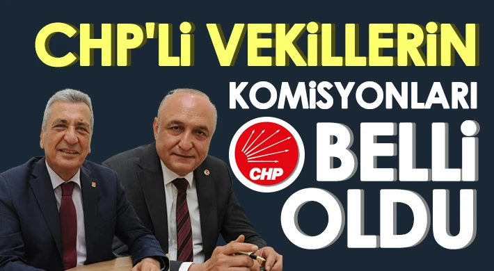 CHP'li vekillerin komisyonları belli oldu