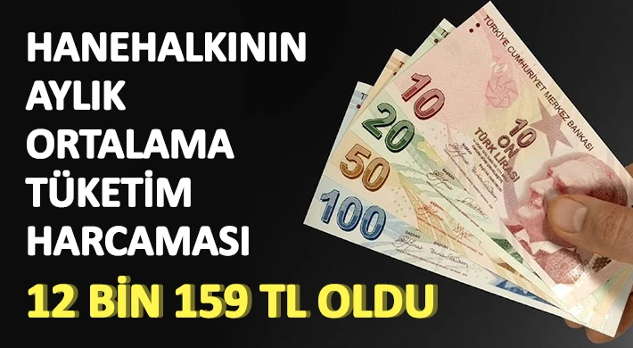 Hane Halkının aylık ortalama tüketim harcaması 12 bin 159 TL oldu