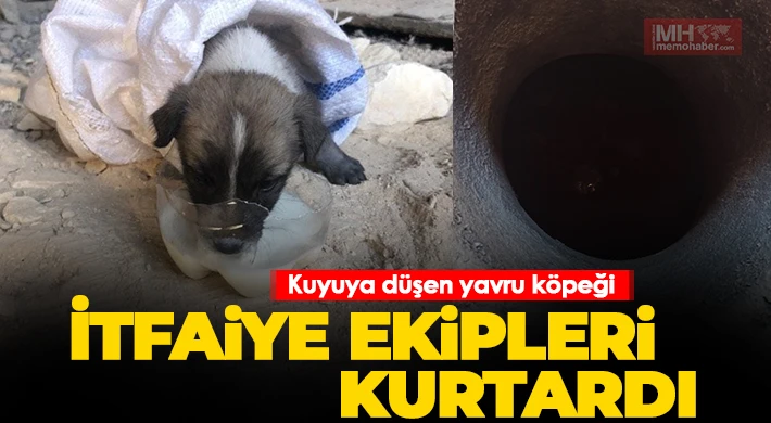 Kuyuya düşen yavru köpeği itfaiye ekipleri kurtardı