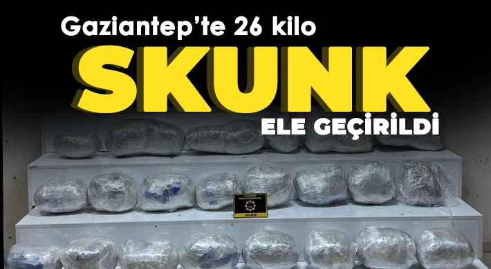 Gaziantep’te 26 kilo skunk ele geçirildi