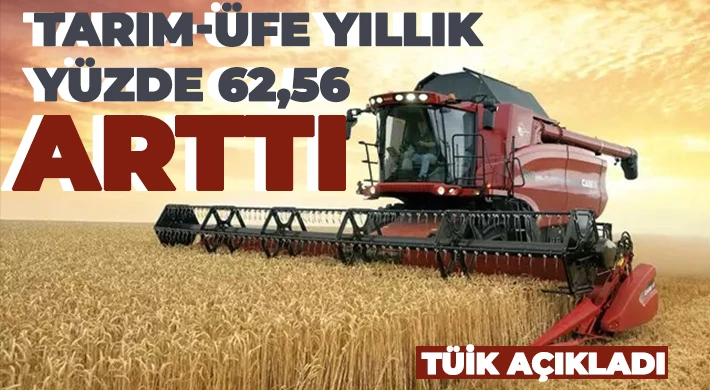 Tarım ürünleri üretici fiyat endeksi yıllık yüzde 62,56 arttı