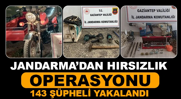 Jandarma’dan hırsızlık operasyonu: 143 şüpheli yakalandı