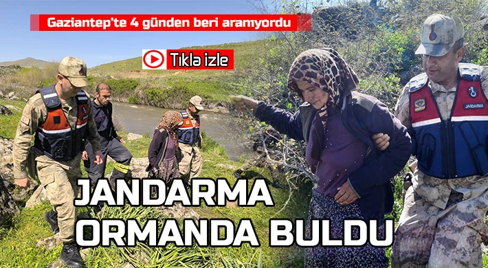 Kaybolan kadın jandarma destekli arama çalışmalarıyla bulundu