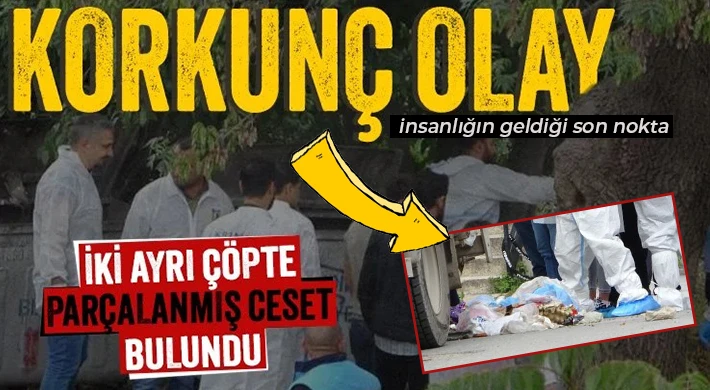 Dehşet: İki çöp konteynerinde parçalanmış erkek cesedi bulundu