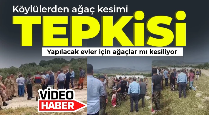 Köylülerden ağaç kesimi tepkisi