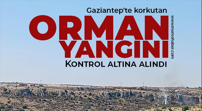 Gaziantep'te korkutan orman yangını kontrol altına alındı