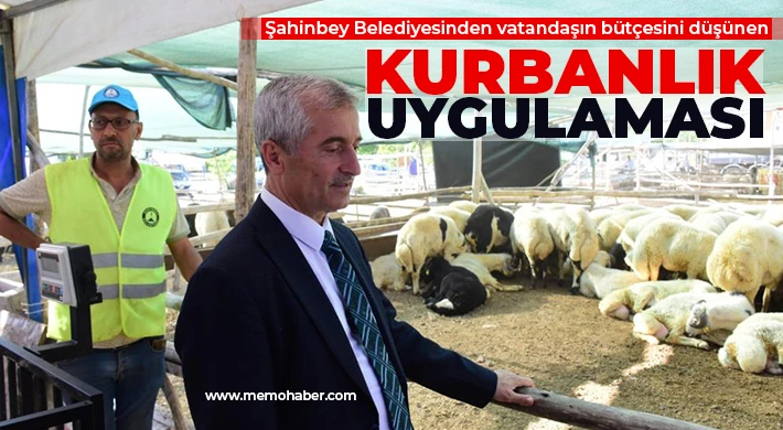 Şahinbey Belediyesinden vatandaşın bütçesini düşünen kurbanlık uygulaması