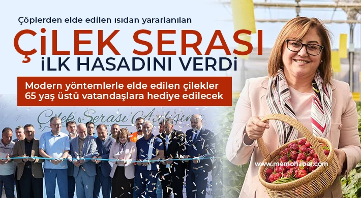 Çöplerden elde edilen ısıdan yararlanılan çilek serası ilk hasadını verdi