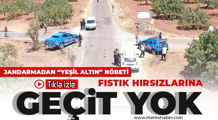 Jandarmadan “yeşil altın” nöbeti