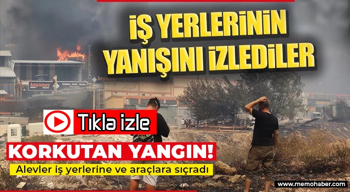  İzmir’de alevler iş yerlerine ve araçlara sıçradı