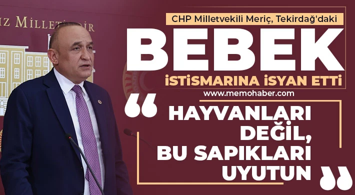 CHP Milletvekili Meriç, Tekirdağ'daki Bebek İstismarına İsyan Etti