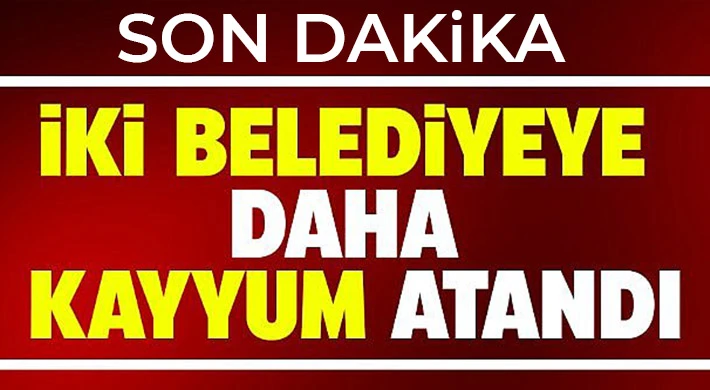 Tunceli ve Ovacık Belediyesi'ne kayyım atandı