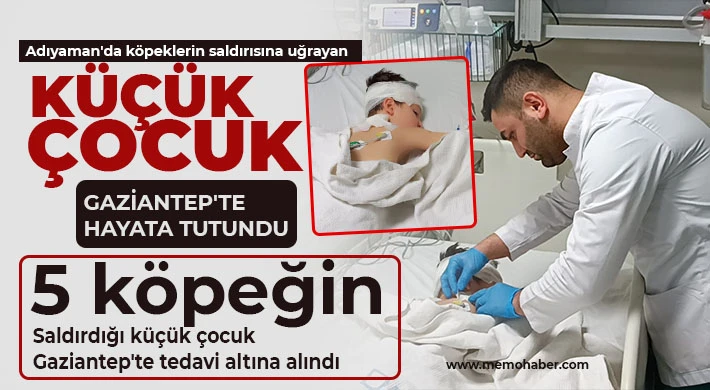 5 köpeğin saldırdığı küçük çocuk Gaziantep'te tedavi altına alındı 