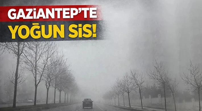 Gaziantep’te sis etkili oldu