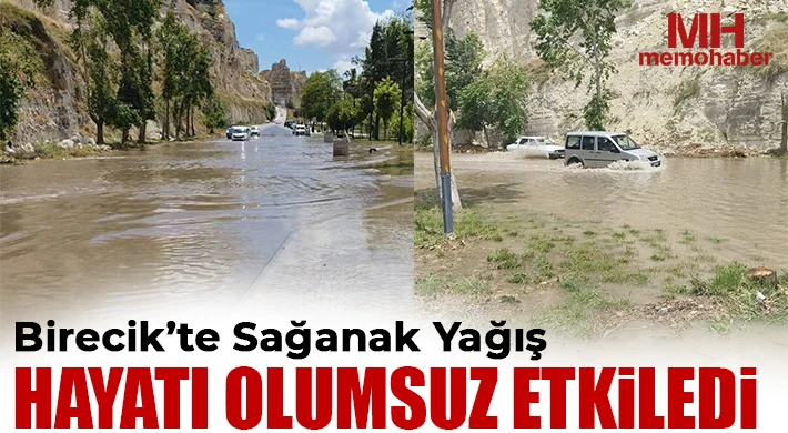 Birecik’te Sağanak Yağış Hayatı Olumsuz Etkiledi