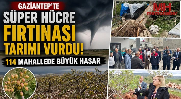 Dolu, Sel ve Hortum Etkili Oldu: Antepfıstığı Bahçelerinde Ağır Tahribat
