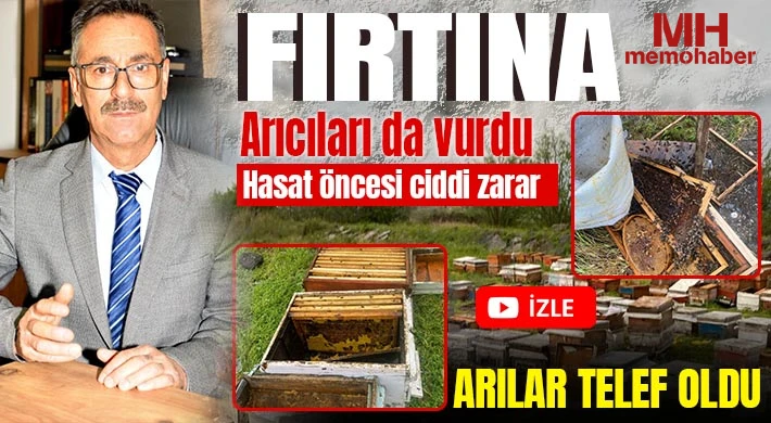 Fırtına arıcıları da vurdu! Arılar telef oldu 