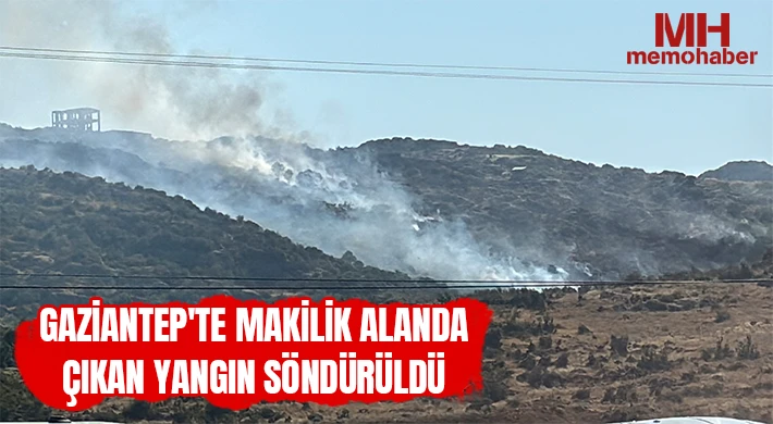 Gaziantep'te makilik alanda çıkan yangın söndürüldü
