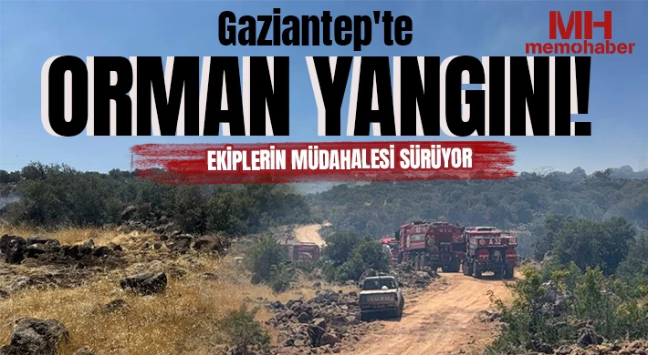 Gaziantep'te orman yangını: Ekiplerin müdahalesi sürüyor