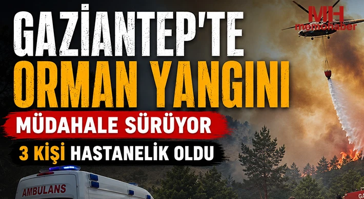 Gaziantep'te orman yangını: Müdahale sürüyor 