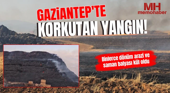 Gaziantep'te korkutan yangın: Binlerce dönüm arazi ve saman balyası kül oldu