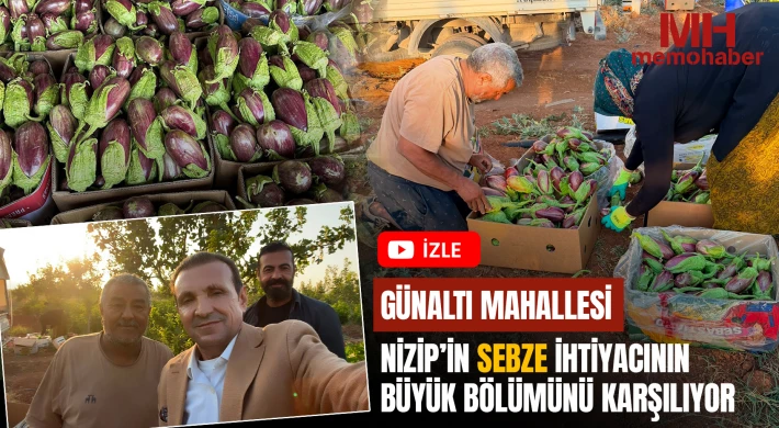 Günaltı Mahallesi, Nizip’in Sebze İhtiyacının Büyük Bölümünü Karşılıyor