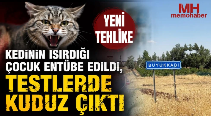 Kedinin ısırdığı çocuk entübe edildi, testlerde kuduz çıktı