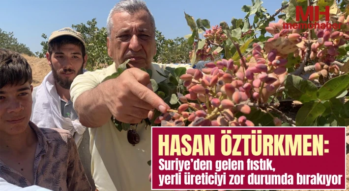 Öztürkmen: Suriye’den gelen fıstık, yerli üreticiyi zor durumda bırakıyor