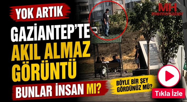 Yok artık! Gaziantep'te akıl almaz görüntü