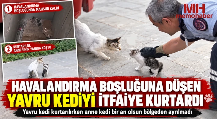 Havalandırma boşluğuna düşen yavru kediyi itfaiye kurtardı