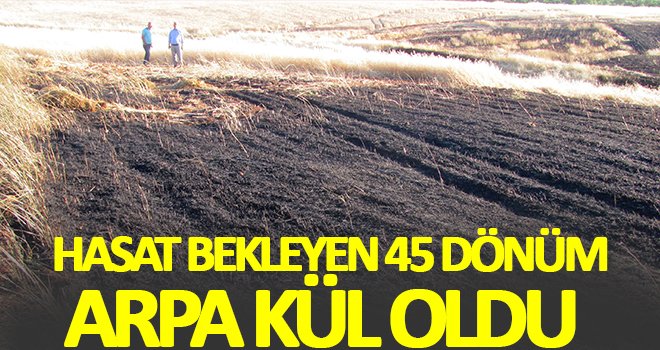 45 dönümlük arpa ekili alan kül oldu