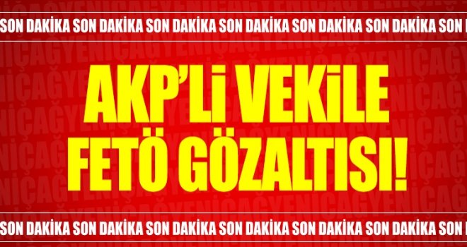 Ak Parti'li eski vekile FETÖ gözaltısı