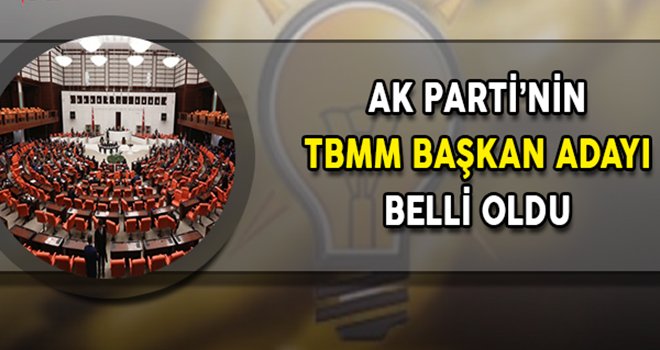 Ak Parti'nin meclis başkan adayı belli oldu