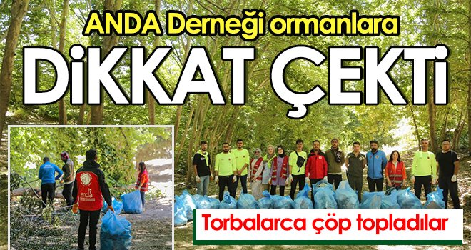 ANDA Derneği ormanlara dikkat çekti