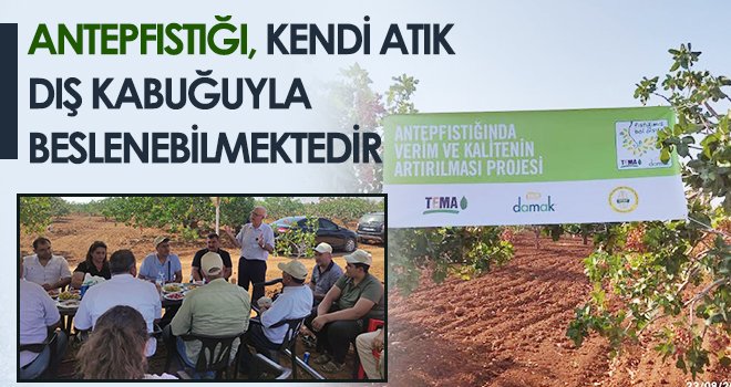 Antepfıstığı, kendi atık dış kabuğuyla beslenebilmektedir