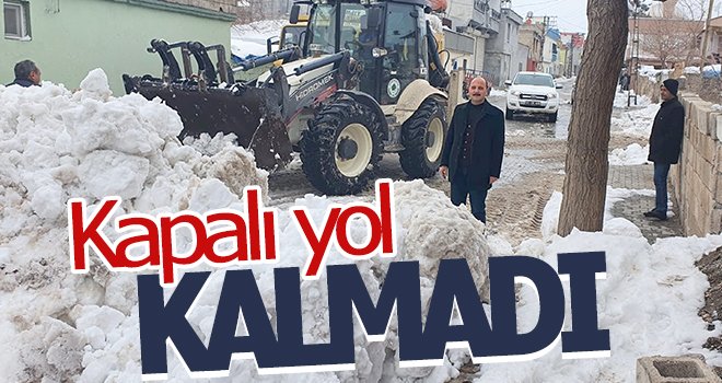 Araban'da kar nedeniyle kapalı yol kalmadı