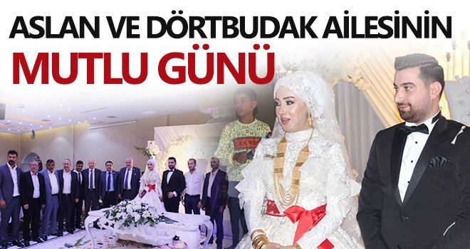 Aslan ve Dörtbudak ailesinin mutlu günü