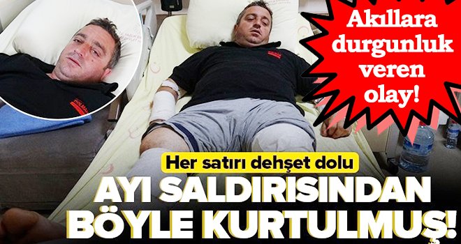 Ayı saldırısından güreşerek kurtuldu