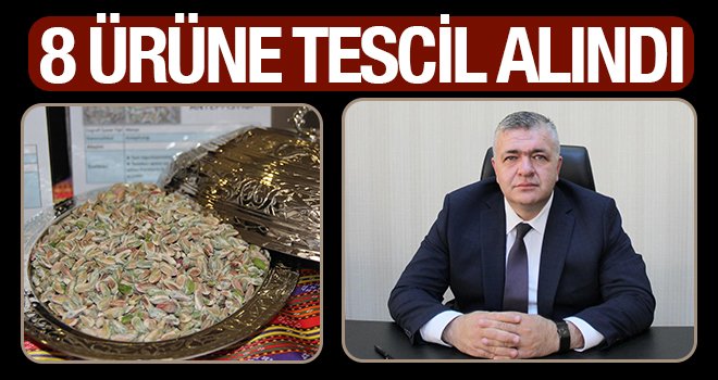 Baklavalık boz iç Antep fıstığı tescilleniyor