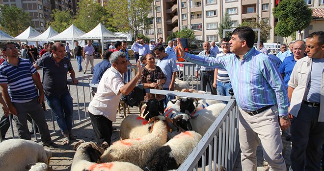 BAŞKAN FADILOĞLU KURBAN KESİM YERLERİNİ GEZDİ