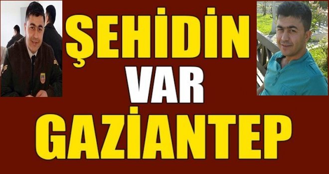 Bitlis'ten acı haber geldi! Şehidin var Gaziantep