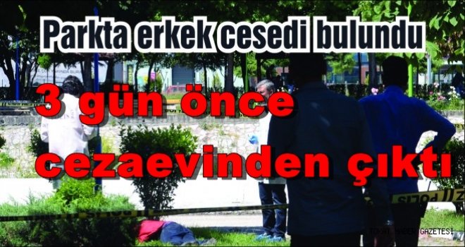 Cezaevinden yeni çıktı, parkta cesedi bulundu!..